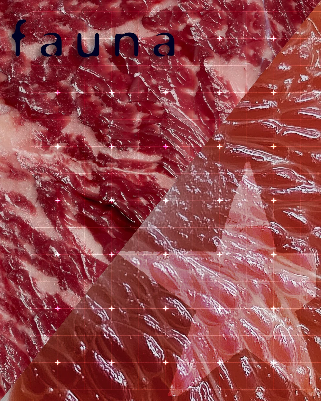Poster: close-up photos of raw meat split on a diagonal, with a grid and star marks over them and the word fauna
